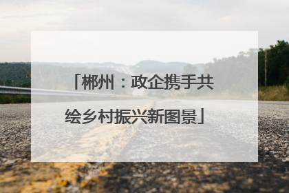 郴州：政企携手共绘乡村振兴新图景