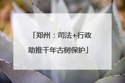 郑州：司法+行政助推千年古树保护