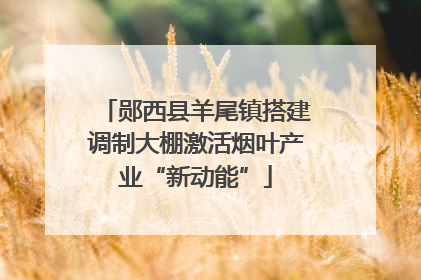 郧西县羊尾镇搭建调制大棚激活烟叶产业“新动能”