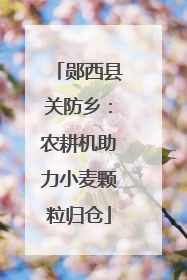 郧西县关防乡：农耕机助力小麦颗粒归仓