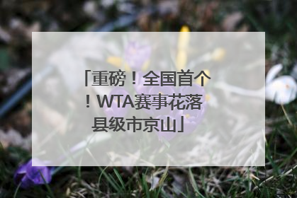 重磅！全国首个！WTA赛事花落县级市京山