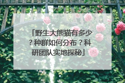 野生大熊猫有多少？种群如何分布？科研团队实地探秘