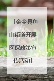 金乡县鱼山街道开展医保政策宣传活动