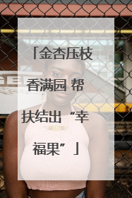 金杏压枝香满园 帮扶结出“幸福果”