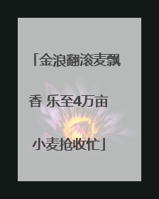 金浪翻滚麦飘香 乐至4万亩小麦抢收忙