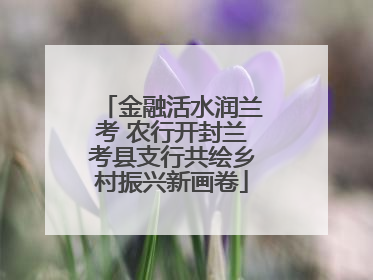 金融活水润兰考 农行开封兰考县支行共绘乡村振兴新画卷
