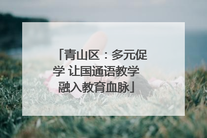 青山区：多元促学 让国通语教学融入教育血脉
