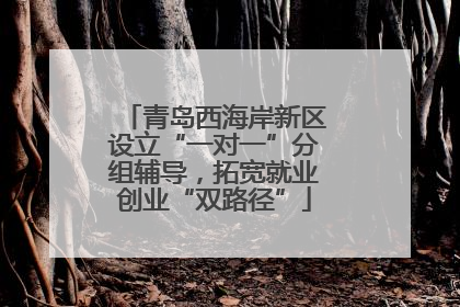 青岛西海岸新区设立“一对一”分组辅导，拓宽就业创业“双路径”