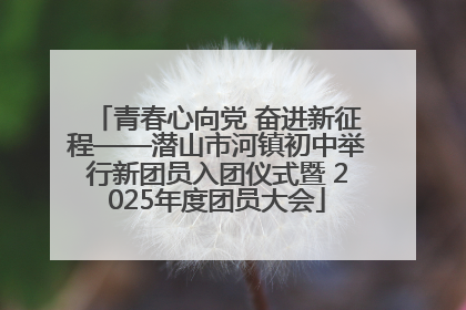 青春心向党 奋进新征程——潜山市河镇初中举行新团员入团仪式暨 2025年度团员大会