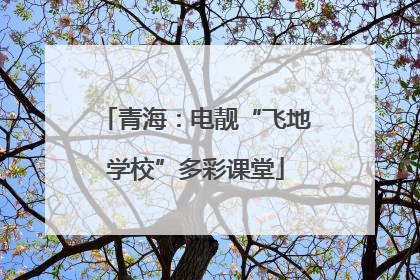 青海：电靓“飞地学校”多彩课堂
