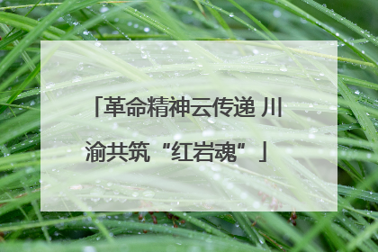 革命精神云传递 川渝共筑“红岩魂”