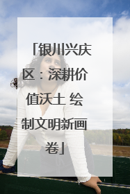 银川兴庆区：深耕价值沃土 绘制文明新画卷