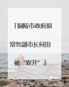 铜陵市政府原常务副市长何田被“双开”