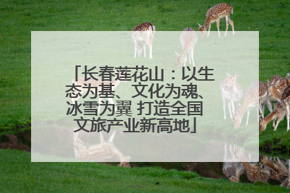 长春莲花山：以生态为基、文化为魂、冰雪为翼 打造全国文旅产业新高地