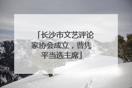 长沙市文艺评论家协会成立，曹隽平当选主席