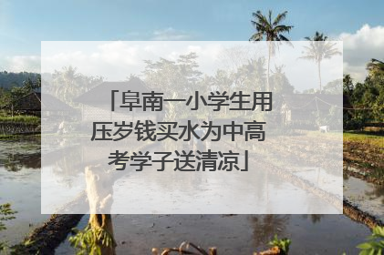 阜南一小学生用压岁钱买水为中高考学子送清凉