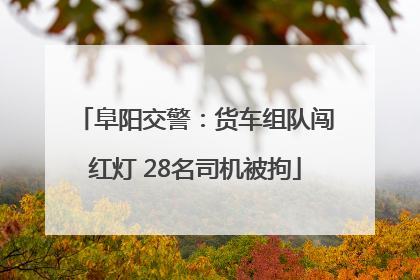 阜阳交警：货车组队闯红灯 28名司机被拘