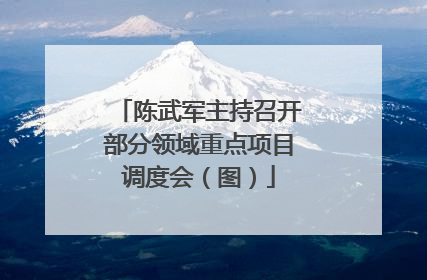 陈武军主持召开部分领域重点项目调度会（图）