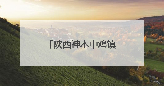 陕西神木中鸡镇纳林采当村：打造乡村振兴新样板