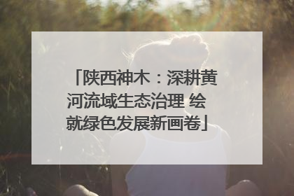 陕西神木：深耕黄河流域生态治理 绘就绿色发展新画卷
