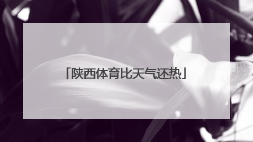 陕西体育比天气还热