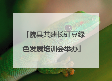 院县共建长豇豆绿色发展培训会举办