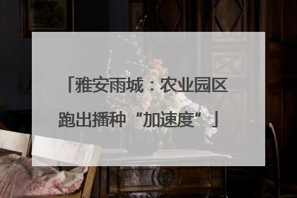 雅安雨城：农业园区跑出播种“加速度”