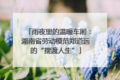 雨夜里的温暖车厢：湖南省劳动模范郑道远的“摆渡人生”