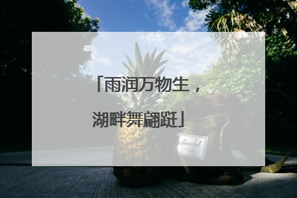 雨润万物生，湖畔舞翩跹