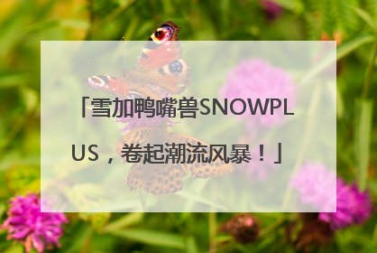雪加鸭嘴兽SNOWPLUS，卷起潮流风暴！