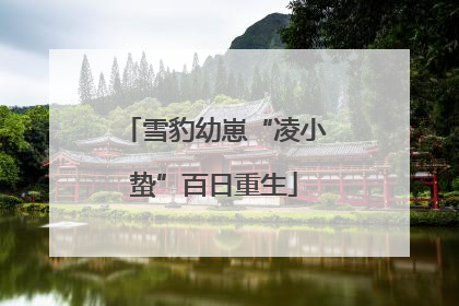 雪豹幼崽“凌小蛰”百日重生