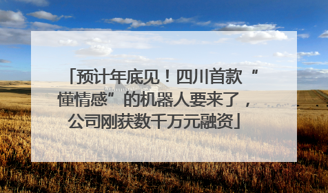 预计年底见！四川首款“懂情感”的机器人要来了，公司刚获数千万元融资