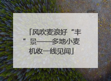 风吹麦浪好“丰”景——多地小麦机收一线见闻