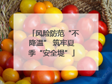 风险防范“不降温” 筑牢夏季“安全堤”