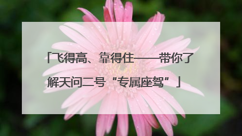 飞得高、靠得住——带你了解天问二号“专属座驾”