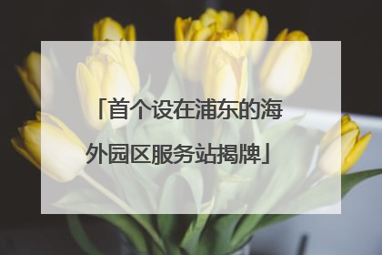 首个设在浦东的海外园区服务站揭牌