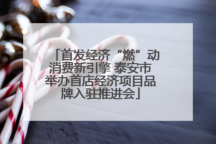 首发经济“燃”动消费新引擎 泰安市举办首店经济项目品牌入驻推进会