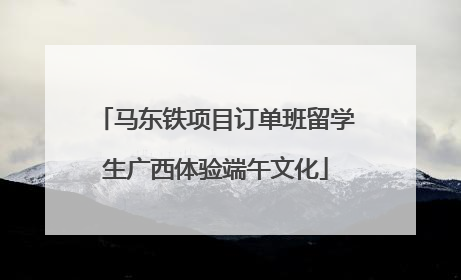 马东铁项目订单班留学生广西体验端午文化