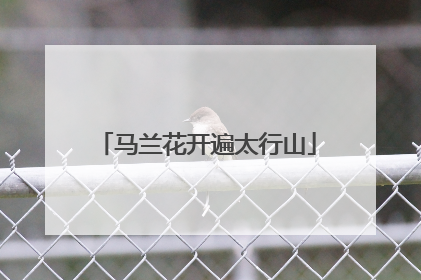 马兰花开遍太行山