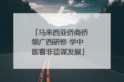 马来西亚侨商侨领广西研修 学中医看非遗谋发展