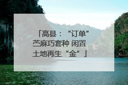 高县：“订单”苎麻巧套种 闲置土地再生“金”