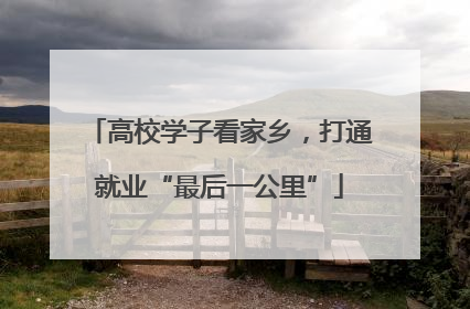 高校学子看家乡，打通就业“最后一公里”