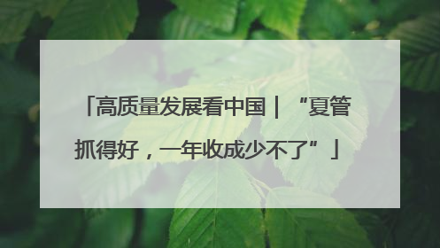 高质量发展看中国｜“夏管抓得好，一年收成少不了”