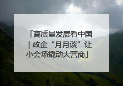 高质量发展看中国｜政企“月月谈”让小会场撬动大营商