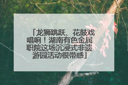 龙狮跳跃、花鼓戏唱响！湖南有色金属职院这场沉浸式非遗游园活动很带感