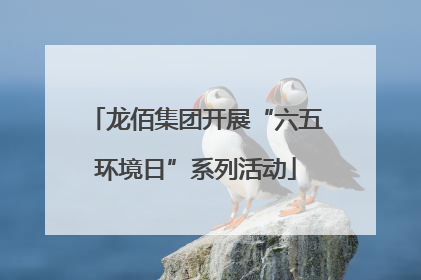 龙佰集团开展“六五环境日”系列活动