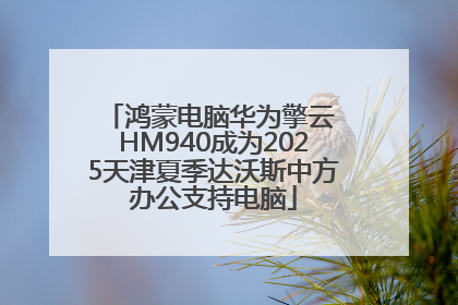 鸿蒙电脑华为擎云 HM940成为2025天津夏季达沃斯中方办公支持电脑