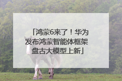 鸿蒙6来了！华为发布鸿蒙智能体框架 盘古大模型上新