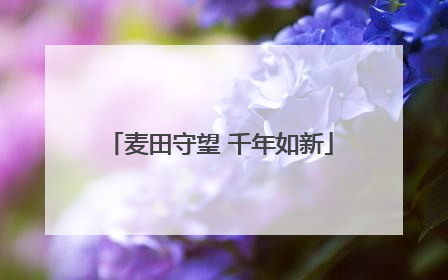 麦田守望 千年如新