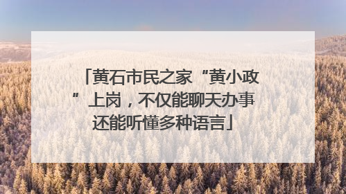 黄石市民之家“黄小政”上岗，不仅能聊天办事还能听懂多种语言